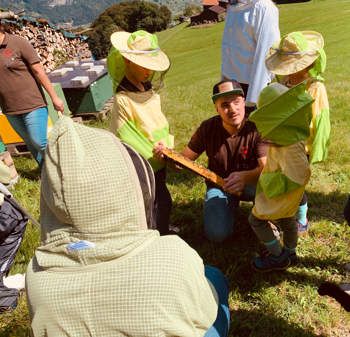 Les abeilles en gros plan | Adultes